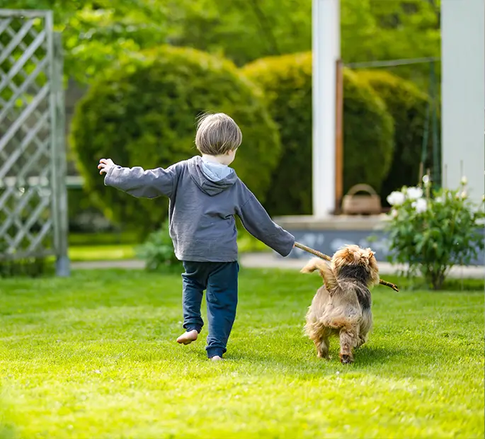 Boy playing with dog